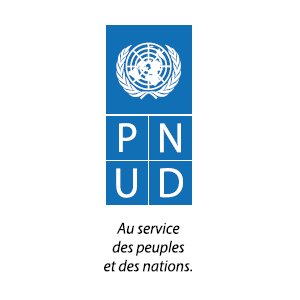 PNUD, AG Partners Africa - Publicis Communications
